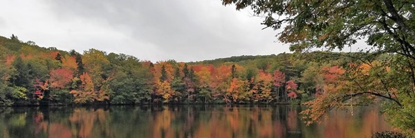 Experiencing the Beauty of Fall Foliage