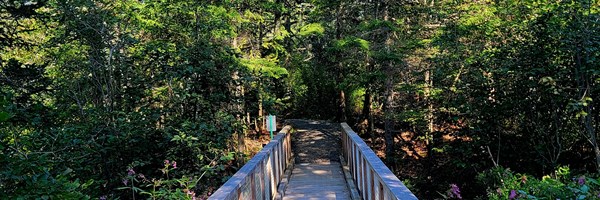 Exploring the Fort Point Trail