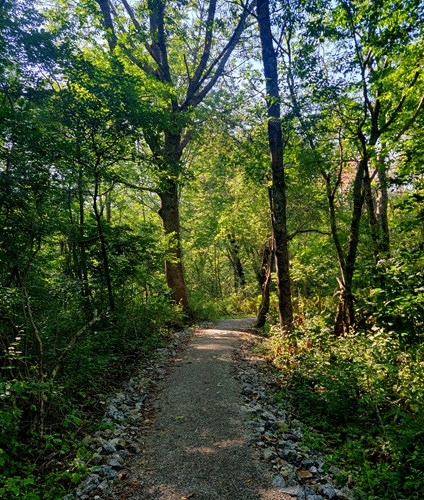 Fort Point Trail Path