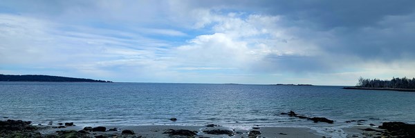 Drift Inn Beach Adventure